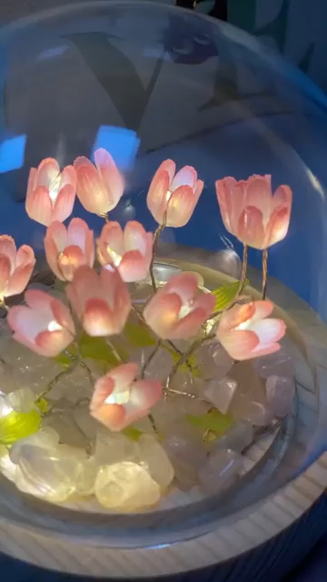 Round Tulip Light